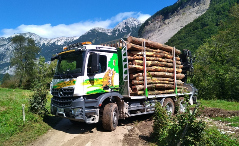 Camion forestale